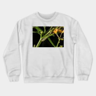 Monarch Caterpillar 2 Crewneck Sweatshirt